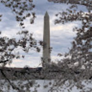 Meet your Posher, Antonia